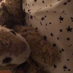 Meet your Posher, Poppy